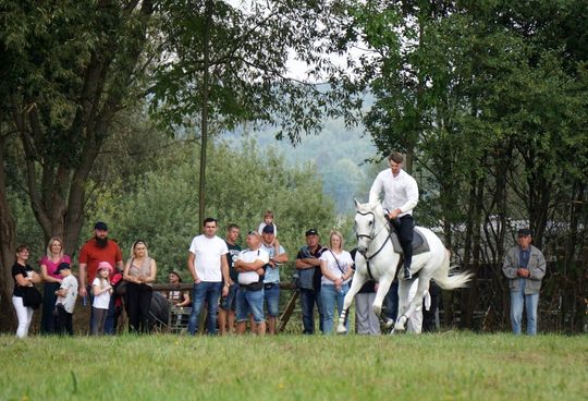 Zlot Zaprzęgów Konnych w Gorajcu Starej Wsi [ZDJĘCIA]