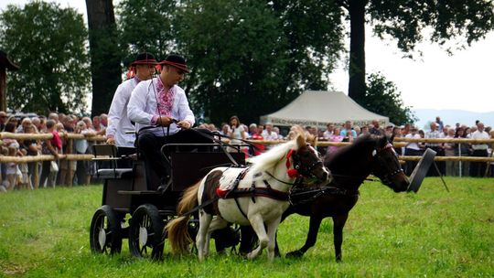 Zlot Zaprzęgów Konnych w Gorajcu Starej Wsi [ZDJĘCIA]