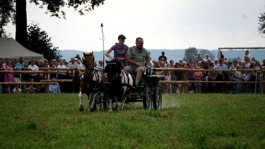 Zlot Zaprzęgów Konnych w Gorajcu Starej Wsi [ZDJĘCIA]