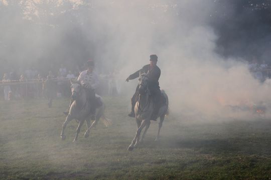 Zlot Zaprzęgów Konnych w Gorajcu Starej Wsi [ZDJĘCIA]