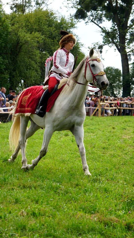 Zlot Zaprzęgów Konnych w Gorajcu Starej Wsi [ZDJĘCIA]