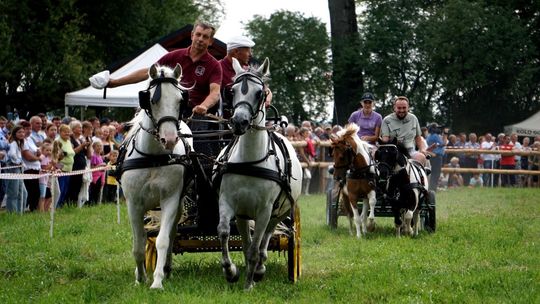 Zlot Zaprzęgów Konnych w Gorajcu Starej Wsi [ZDJĘCIA]