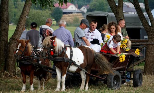 Zlot Zaprzęgów Konnych w Gorajcu Starej Wsi [ZDJĘCIA]