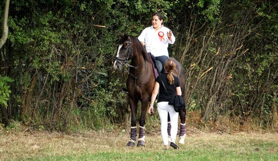 Zlot Zaprzęgów Konnych w Gorajcu Starej Wsi [ZDJĘCIA]