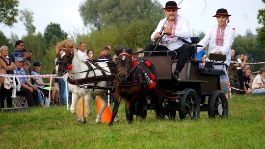 Zlot Zaprzęgów Konnych w Gorajcu Starej Wsi [ZDJĘCIA]