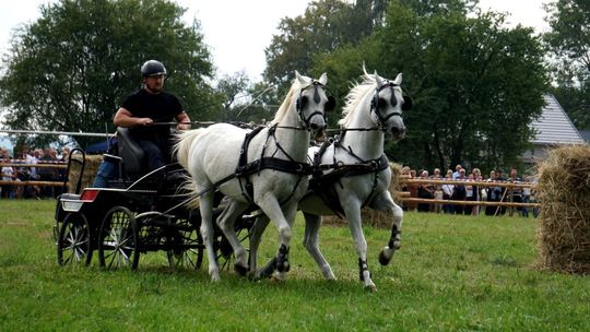 Zlot Zaprzęgów Konnych w Gorajcu Starej Wsi [ZDJĘCIA]