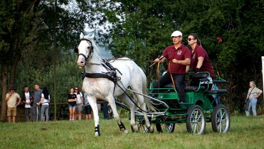 Zlot Zaprzęgów Konnych w Gorajcu Starej Wsi [ZDJĘCIA]