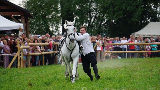 Zlot Zaprzęgów Konnych w Gorajcu Starej Wsi [ZDJĘCIA]