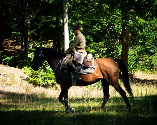 86. rocznica Bitew pod Tomaszowem Lubelskim "Wrześniowe Drogi" [ZDJĘCIA]