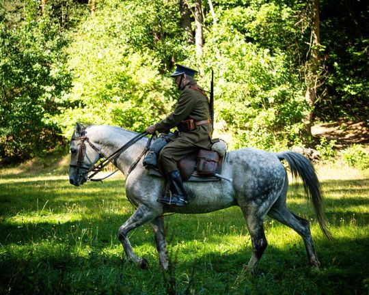 86. rocznica Bitew pod Tomaszowem Lubelskim "Wrześniowe Drogi" [ZDJĘCIA]