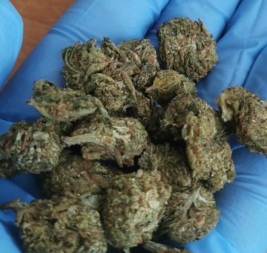 Tomaszów Lubelski: Zatrzymani za posiadanie narkotyków [ZDJĘCIA]