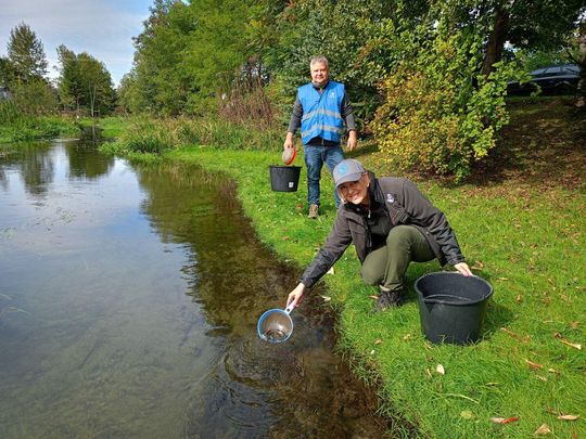 Roztocze: Zarybiają rzeki, jeziora, zbiorniki. Wpuszczą 17 gatunków ryb [ZDJĘCIA]