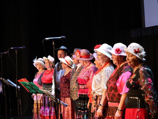 Jubileusz chóru Camerata i kabaretu Aluzja [ZDJĘCIA]