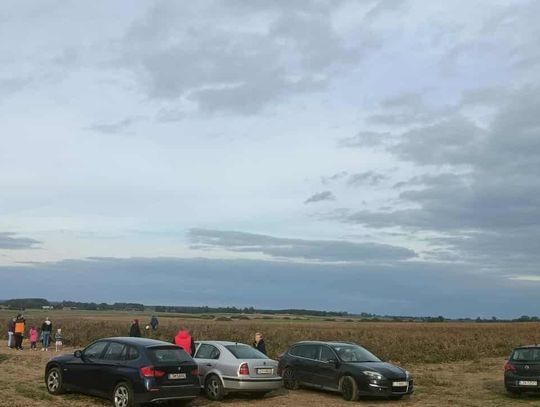 Rolnicy z Niewirkowa oddają pomidory w zamian za datek na remont kościoła w Dubie [ZDJĘCIA]