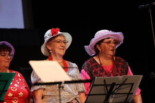 Jubileusz chóru Camerata i kabaretu Aluzja [ZDJĘCIA]