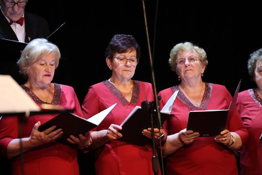 Jubileusz chóru Camerata i kabaretu Aluzja [ZDJĘCIA]