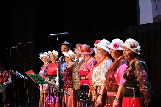 Jubileusz chóru Camerata i kabaretu Aluzja [ZDJĘCIA]