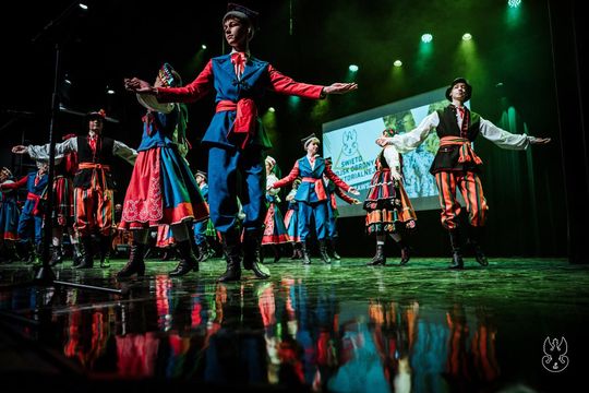 Obchody 8. święta Wojsk Obrony Terytorialnej w Zamościu. Zobacz zdjęcia