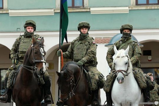 Obchody 8. święta Wojsk Obrony Terytorialnej w Zamościu. Zobacz zdjęcia