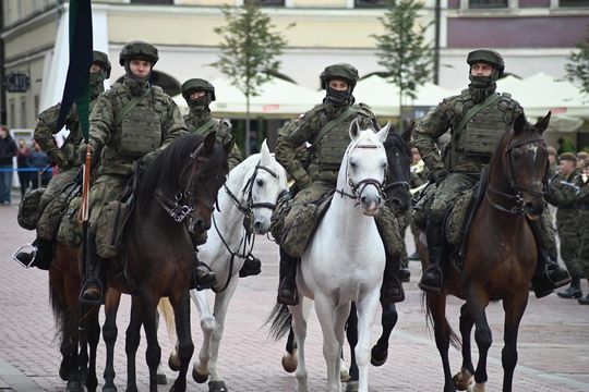 Obchody 8. święta Wojsk Obrony Terytorialnej w Zamościu. Zobacz zdjęcia