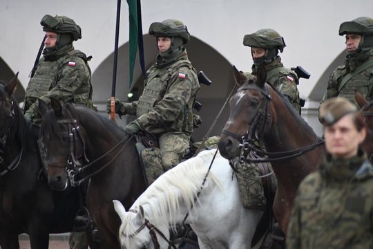 Obchody 8. święta Wojsk Obrony Terytorialnej w Zamościu. Zobacz zdjęcia