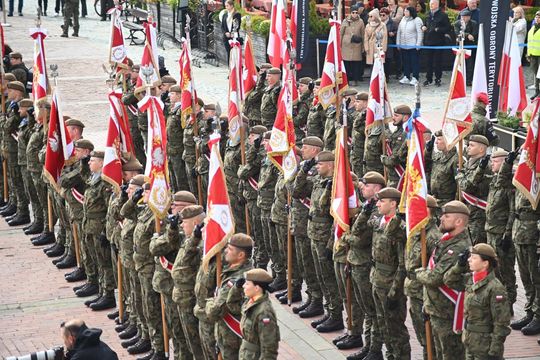 Obchody 8. święta Wojsk Obrony Terytorialnej w Zamościu. Zobacz zdjęcia