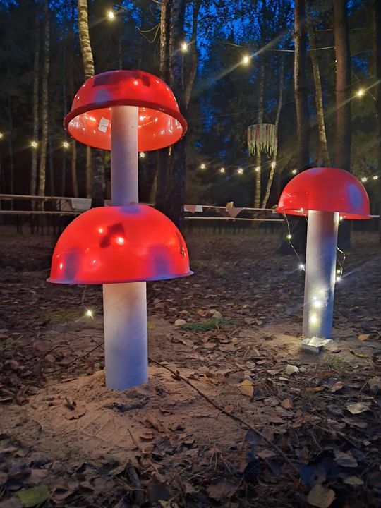 Piknik Czerwonego Kapturka. Zobacz fotorelację