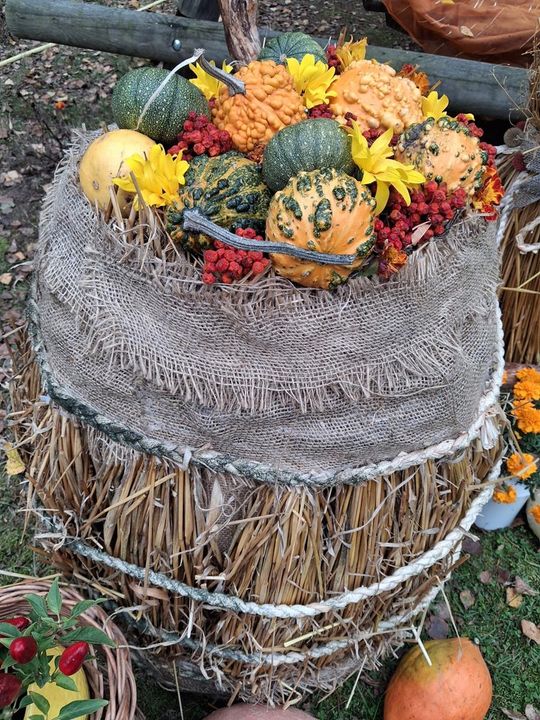 Piknik Czerwonego Kapturka. Zobacz fotorelację