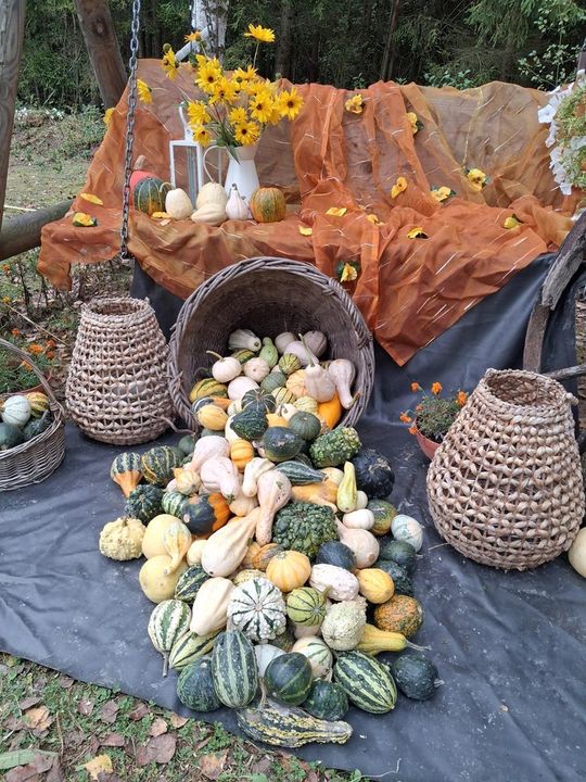 Piknik Czerwonego Kapturka. Zobacz fotorelację