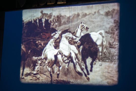 W starym kinie, czyli filmowa podróż do przeszłości, gdy w Zamościu działało 7 kin [ZDJĘCIA]