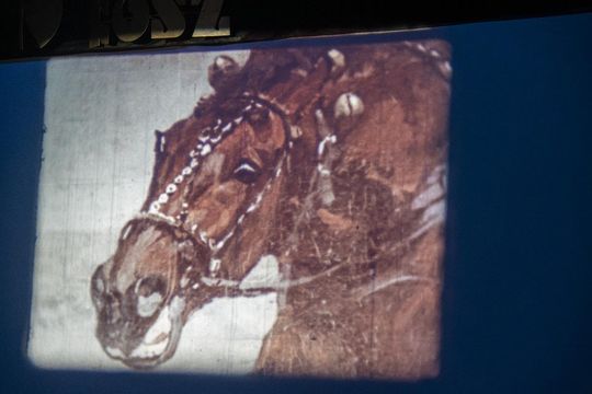 W starym kinie, czyli filmowa podróż do przeszłości, gdy w Zamościu działało 7 kin [ZDJĘCIA]