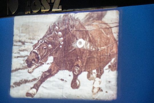 W starym kinie, czyli filmowa podróż do przeszłości, gdy w Zamościu działało 7 kin [ZDJĘCIA]