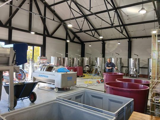 Winobranie w Winnicy Juliana. Zobacz zdjęcia Winobranie w Winnicy Juliana. Zobacz zdjęcia