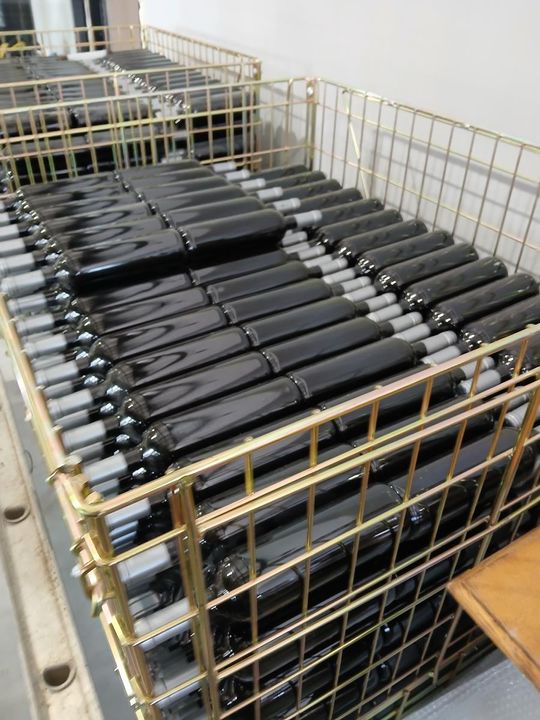 Winobranie w Winnicy Juliana. Zobacz zdjęcia Winobranie w Winnicy Juliana. Zobacz zdjęcia