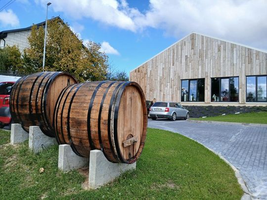 Winobranie w Winnicy Juliana. Zobacz zdjęcia Winobranie w Winnicy Juliana. Zobacz zdjęcia