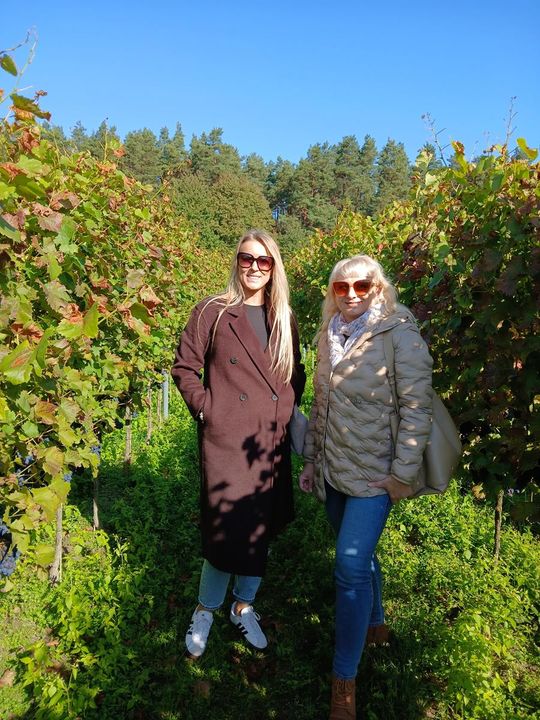 Winobranie w Winnicy Juliana. Zobacz zdjęcia Winobranie w Winnicy Juliana. Zobacz zdjęcia