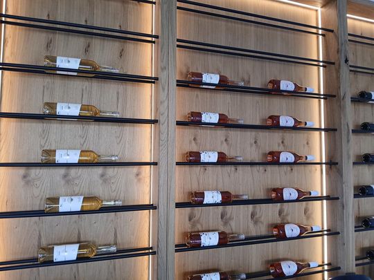 Winobranie w Winnicy Juliana. Zobacz zdjęcia Winobranie w Winnicy Juliana. Zobacz zdjęcia