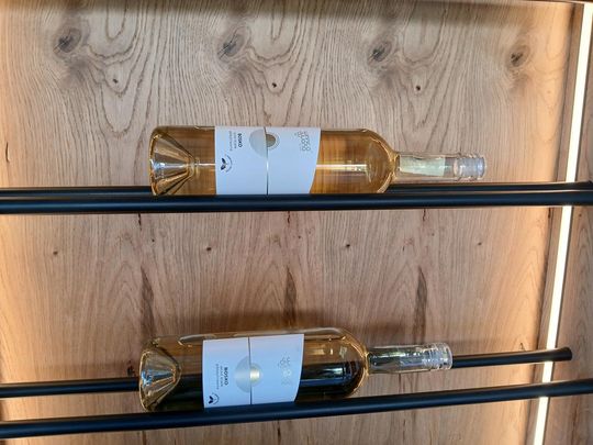 Winobranie w Winnicy Juliana. Zobacz zdjęcia Winobranie w Winnicy Juliana. Zobacz zdjęcia