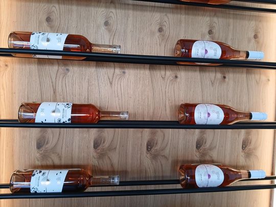 Winobranie w Winnicy Juliana. Zobacz zdjęcia Winobranie w Winnicy Juliana. Zobacz zdjęcia