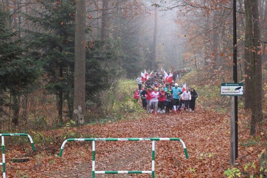 Bieg Niepodległości w Tomaszowie Lubelskim. Blisko 250 uczniów na starcie [ZDJĘCIA]