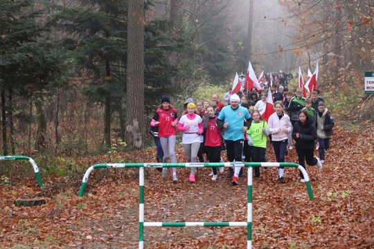 Bieg Niepodległości w Tomaszowie Lubelskim. Blisko 250 uczniów na starcie [ZDJĘCIA]
