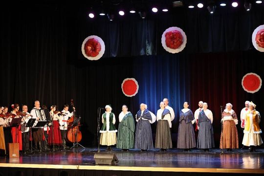 Historia Polski w pieśni i tańcu. Koncert w TDK-u [ZDJĘCIA]