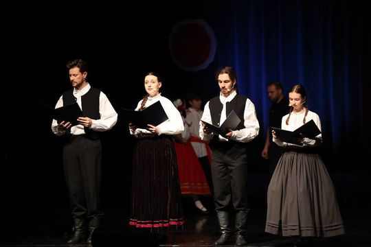 Historia Polski w pieśni i tańcu. Koncert w TDK-u [ZDJĘCIA]