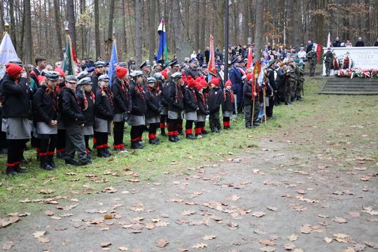 Tomaszów Lubelski: Niech żyje niepodległość! Tak świętowano 11 listopada [ZDJĘCIA]