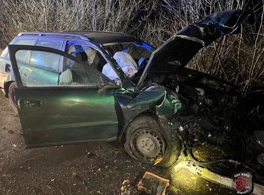 20-latek z gm. Werbkowice w Cześnikach stracił panowanie nad audi i uderzył w drzewo [ZDJĘCIA]