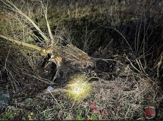 20-latek z gm. Werbkowice w Cześnikach stracił panowanie nad audi i uderzył w drzewo [ZDJĘCIA]