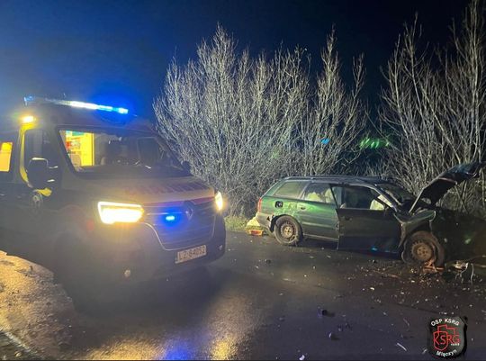 20-latek z gm. Werbkowice w Cześnikach stracił panowanie nad audi i uderzył w drzewo [ZDJĘCIA]