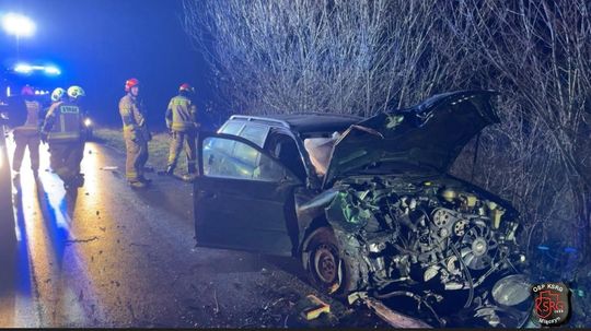 20-latek z gm. Werbkowice w Cześnikach stracił panowanie nad audi i uderzył w drzewo [ZDJĘCIA]