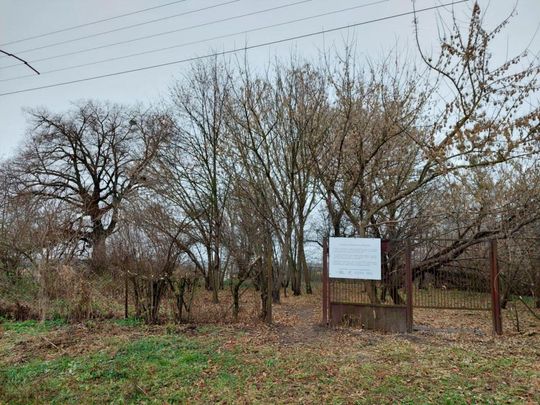 XVII-wieczny cmentarz w Mikulinie kryje wiele tragicznych historii [ZDJĘCIA]