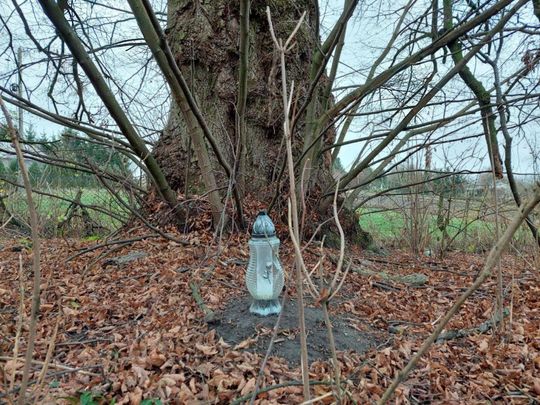 XVII-wieczny cmentarz w Mikulinie kryje wiele tragicznych historii [ZDJĘCIA]